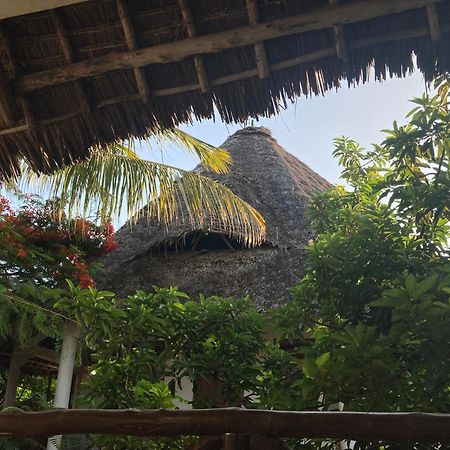 Pasa Lodge Zanzibar Nungwi Ngoại thất bức ảnh
